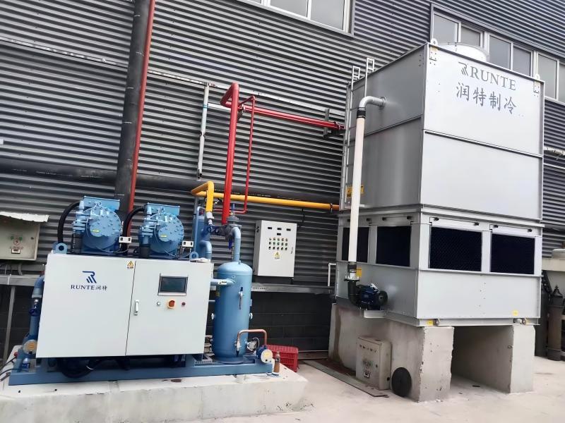 Best Industrial Refrigeration Solutions in 2026: Why Runte Prefers Screw Parallel Units.