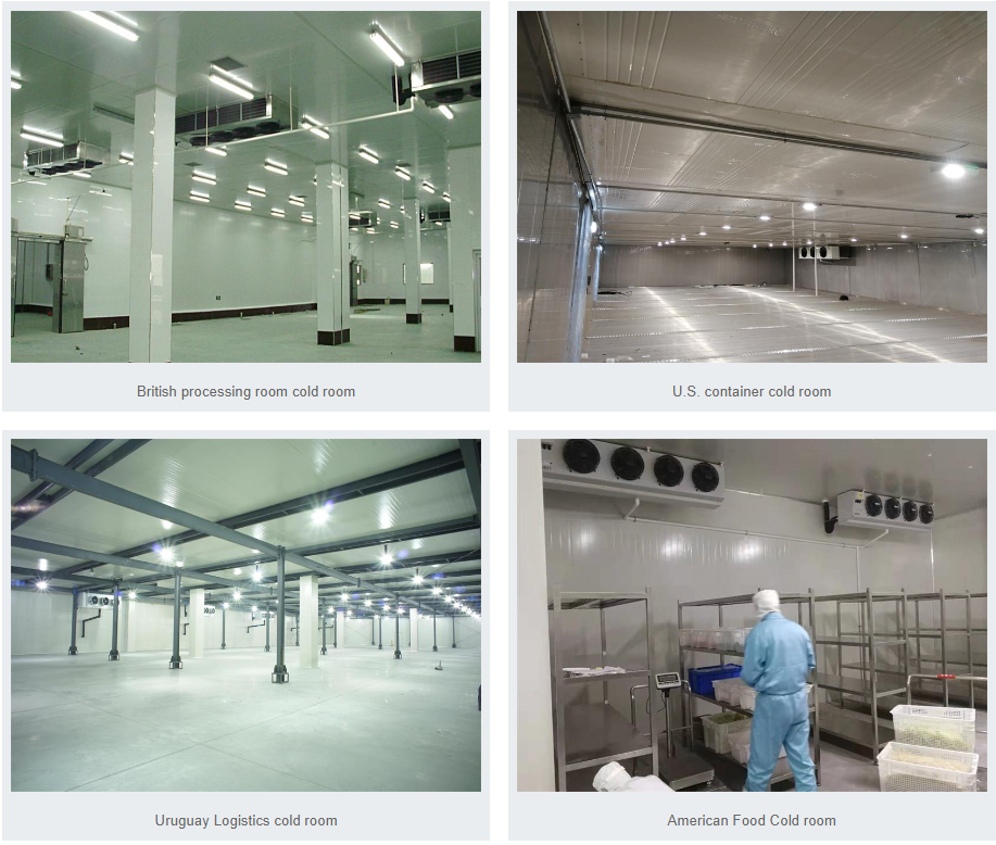 meat seafood cold room storage