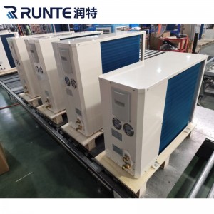 Factory Outlets Long Term Cooperation Inverter Plug in Scroll Condensing Unit for Cool Room