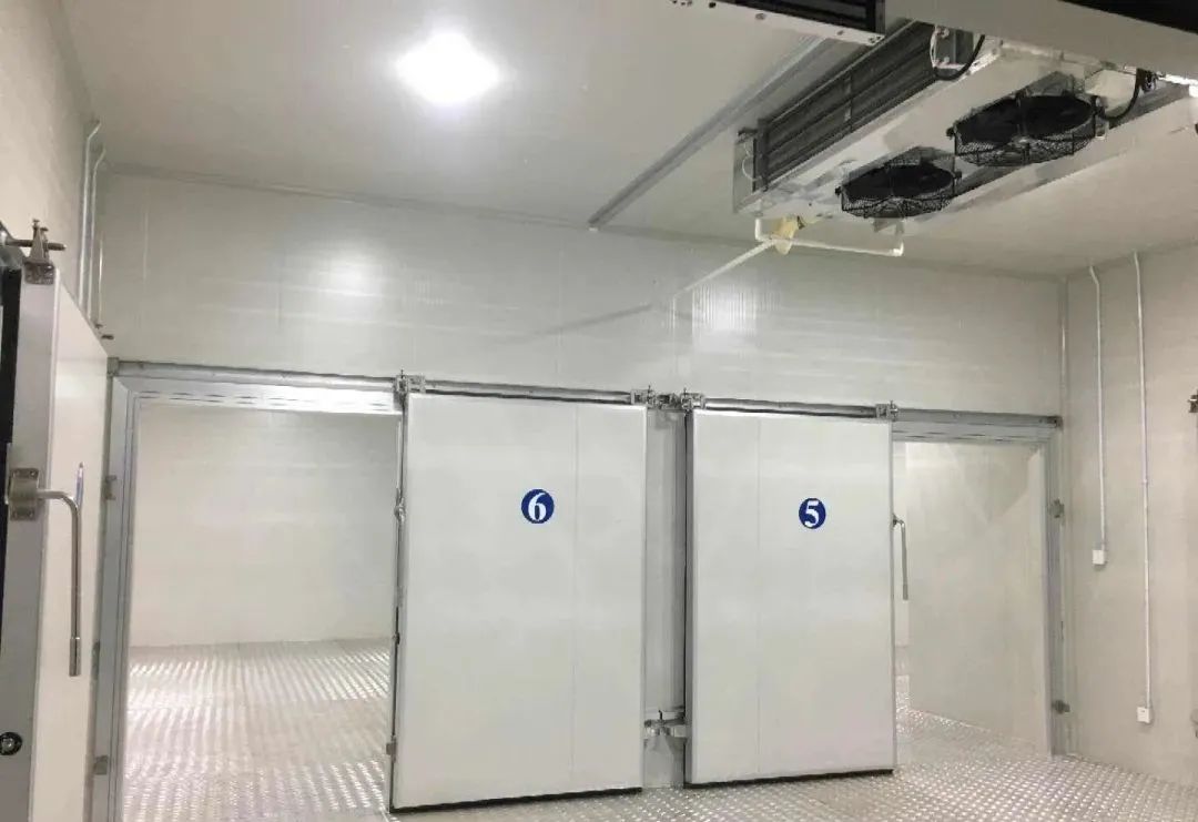 Constant temperature cold storage high power consumption reasons and solutions