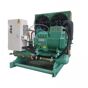 High reputation China Air Cooled Bitzer Compressor Cooling Condensing Unit for Air Conditioner