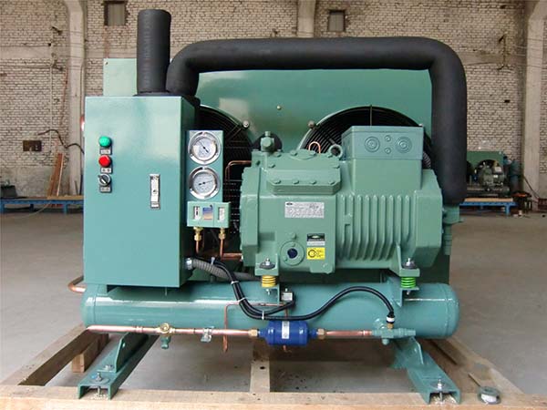 Bitzer Semi-closed Piston Condensing Unit10