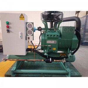 High reputation China Air Cooled Bitzer Compressor Cooling Condensing Unit for Air Conditioner