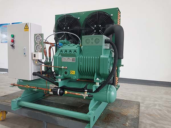 Bitzer Semi-closed Piston Condensing Unit7