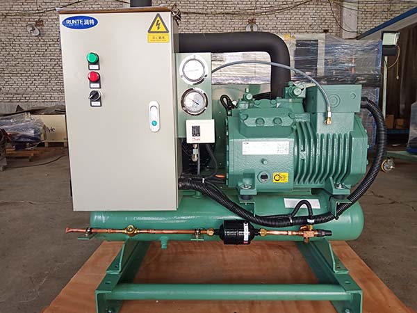 Bitzer Semi-closed Piston Condensing Unit8