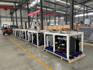 Box Type Condensing Unit for Cold Storage