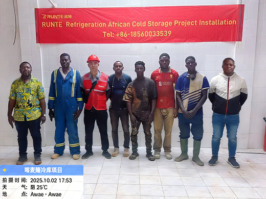 Cameroon Slaughterhouse Cold Storage Project