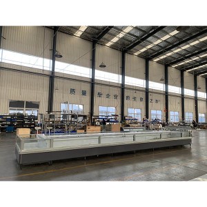 Top Grade China Supermarket Island Freezer with R290 Secop Compressor IEC Approved