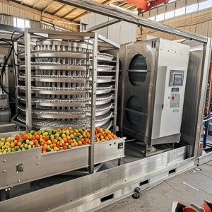 Quality Inspection for Industrial Tunnel Quick Freezer for Seafood and Fish IQF Tunnel Freezer