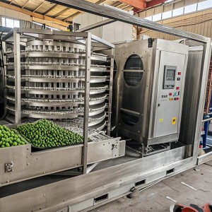 Quality Inspection for Industrial Tunnel Quick Freezer for Seafood and Fish IQF Tunnel Freezer