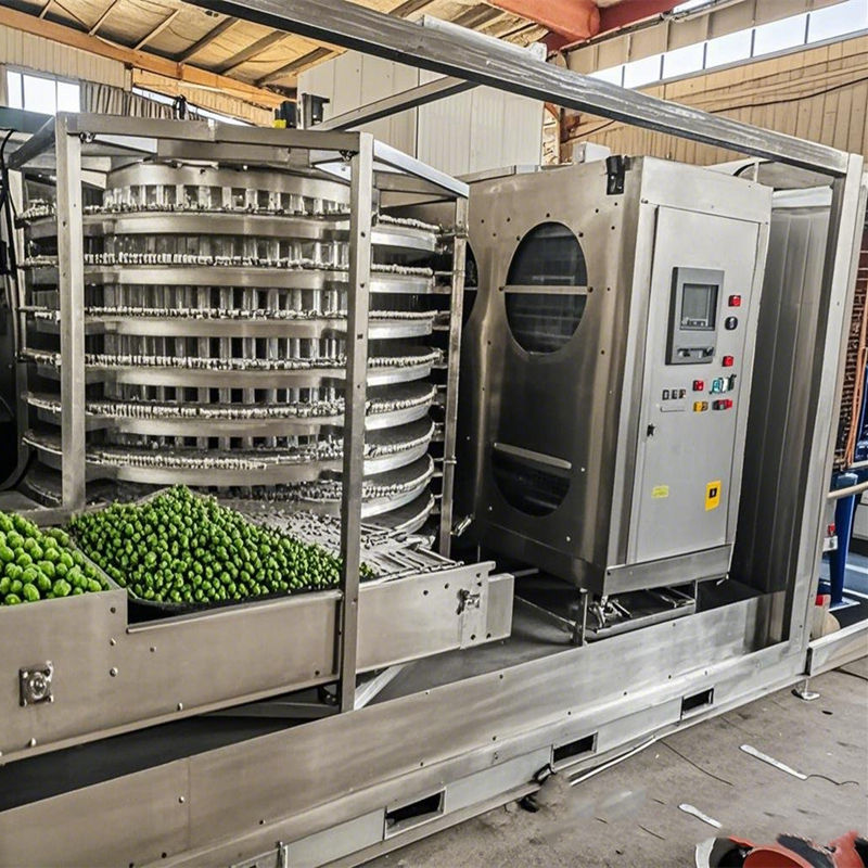 IQF Tunnel Freezer