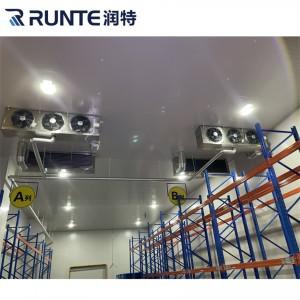 Large Logistics Cold Storage Warehouse | Industrial Refrigerated Storage System