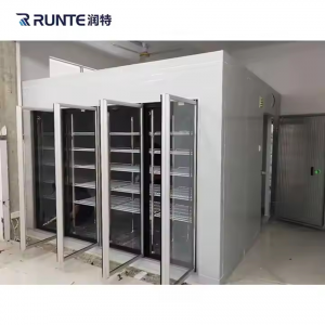 China Cheap price Advanced Commercial Walk-in Freezers for Optimal Cold Storage