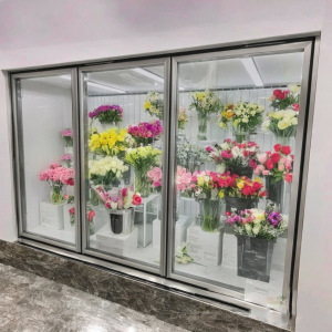 China Cheap price Advanced Commercial Walk-in Freezers for Optimal Cold Storage