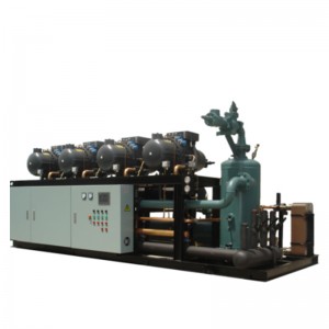Manufacturer standard High Capacity Screw Refrigeration System Condensing Unit for Cold Storage