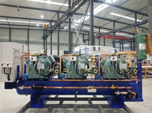 Lowest Price for 4HP Cooling System Air Cooled Bitzer Compressor Condensing Unit