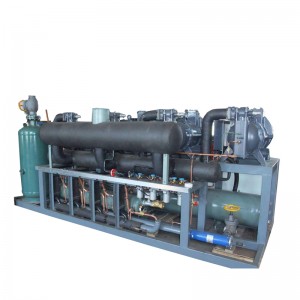 Manufacturer standard High Capacity Screw Refrigeration System Condensing Unit for Cold Storage