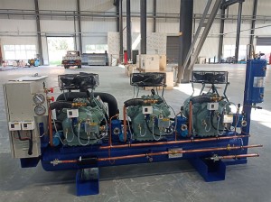 Lowest Price for 4HP Cooling System Air Cooled Bitzer Compressor Condensing Unit