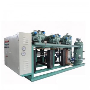 Manufacturer standard High Capacity Screw Refrigeration System Condensing Unit for Cold Storage