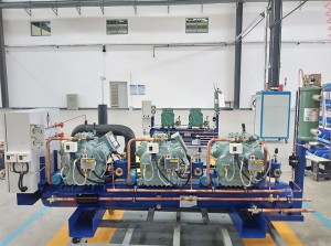 Lowest Price for 4HP Cooling System Air Cooled Bitzer Compressor Condensing Unit