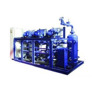 Manufacturer standard High Capacity Screw Refrigeration System Condensing Unit for Cold Storage