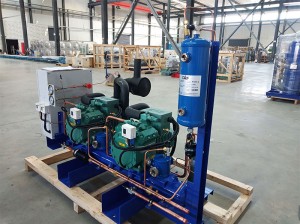 Lowest Price for 4HP Cooling System Air Cooled Bitzer Compressor Condensing Unit