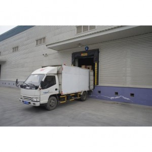 Wholesale OEM/ODM Frozen Fish Meat Beef Cold Storage in Dominica