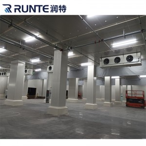 Cold Room Storage for Vegetable Fruit Eggs with Remote Monitoring