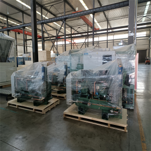Discount Bitzer Semi-Hermetic Parallel Compressor Condensing Unit for Cold Storage