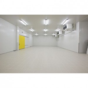 Super Purchasing for Meat Vegetable Fish Fruits Manufacturer Freezing Cold Room Storage