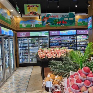 Professional China Supermarket Hotel Display Refrigerator Drink Fridge Beverage Cooler with Glass Door