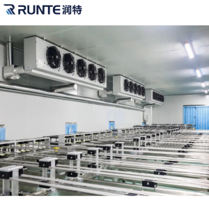 IOS Certificate Fruit/Vegetable/Meat/Seafood Cold Storage Room Cold Storage Warehouse