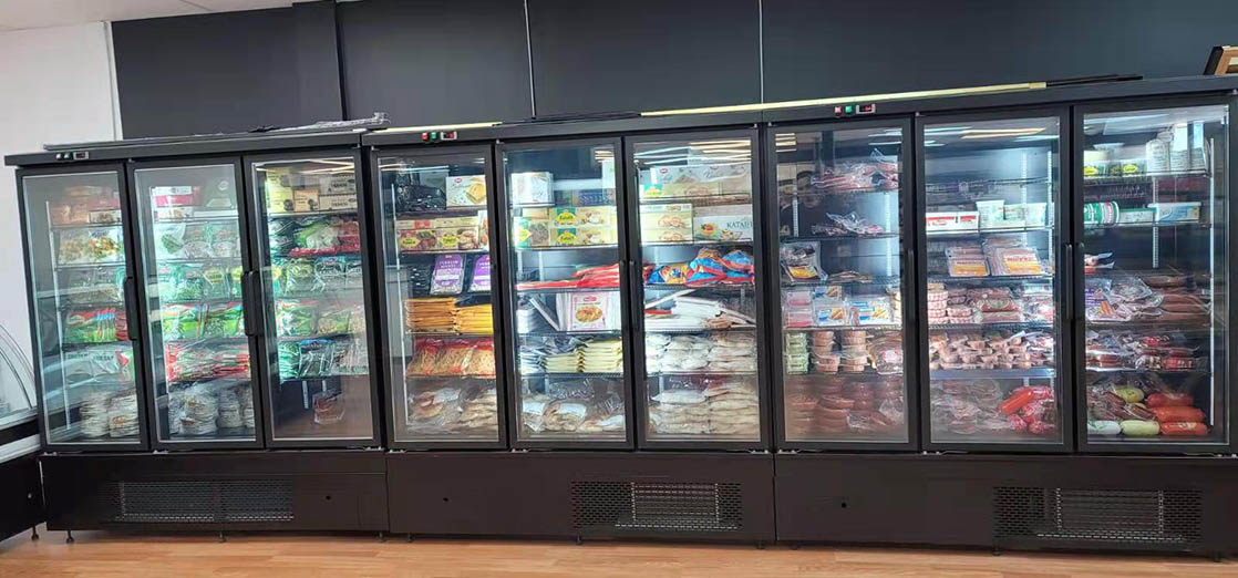 Plug-in Type Compressor Inside Glass Door Display Cooler