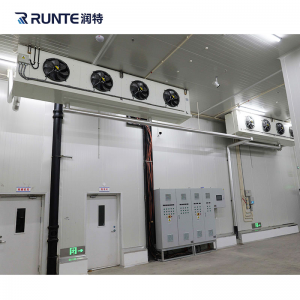 factory Outlets for High-Performance Cold Storage Room with Premium Insulated Freezer for Meat and Fish with Advanced Refrigeration Technology