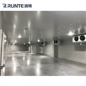 factory Outlets for High-Performance Cold Storage Room with Premium Insulated Freezer for Meat and Fish with Advanced Refrigeration Technology