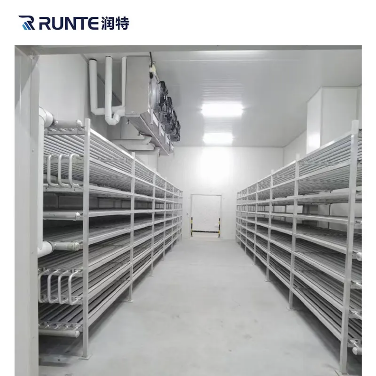 slaughterhouse cold storage design3