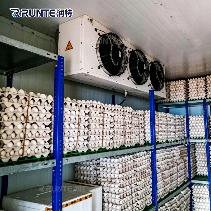 cold-storage-freezer-room-interior-airflow