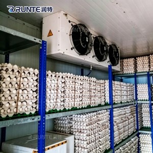 Cold Room Storage for Vegetable Fruit Eggs with Remote Monitoring