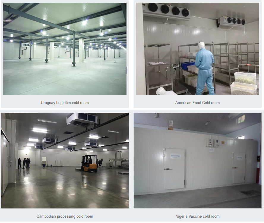 cold room storage for vegetable fruit eggs