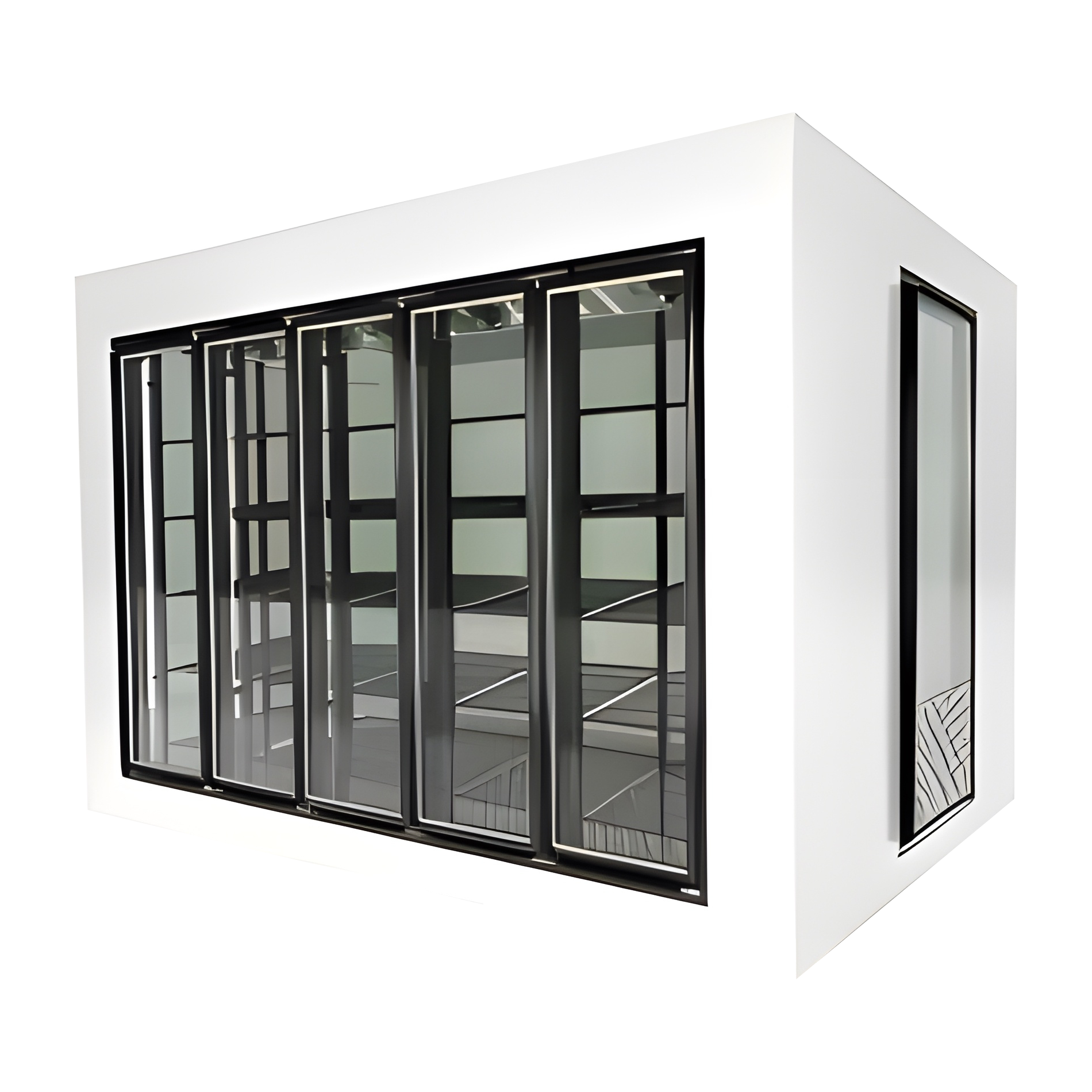 The Perfect Blend of Storage and Display: Walk-In Display Freezers