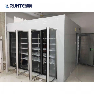 OEM/ODM Supplier Commercial Food Storage Walk in Freezer Manufacturer Chiller Fish Cooler Meat Refrigerator Fridge Blast Freezer Cold Room