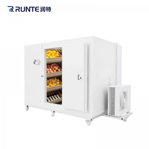 Chinese wholesale Customized Mobile Cold Room Storage Freezing Room for Frozen Food
