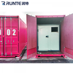 China Factory Freezer Container 20FT 40FT Cold Storage Room