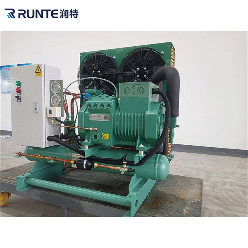 Bitzer Condensing Units: The Foundation of Reliable Cold Chain Management